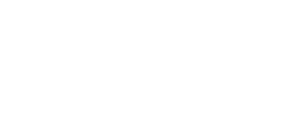Igne logo