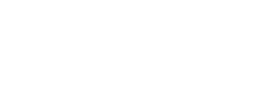Igne logo